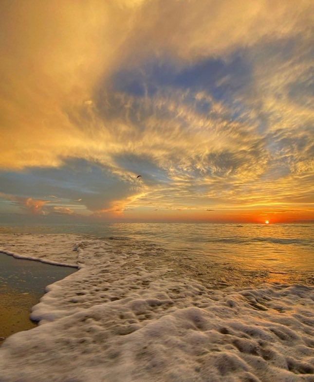 Aesthetics (@aestheticspost_) on Twitter photo 