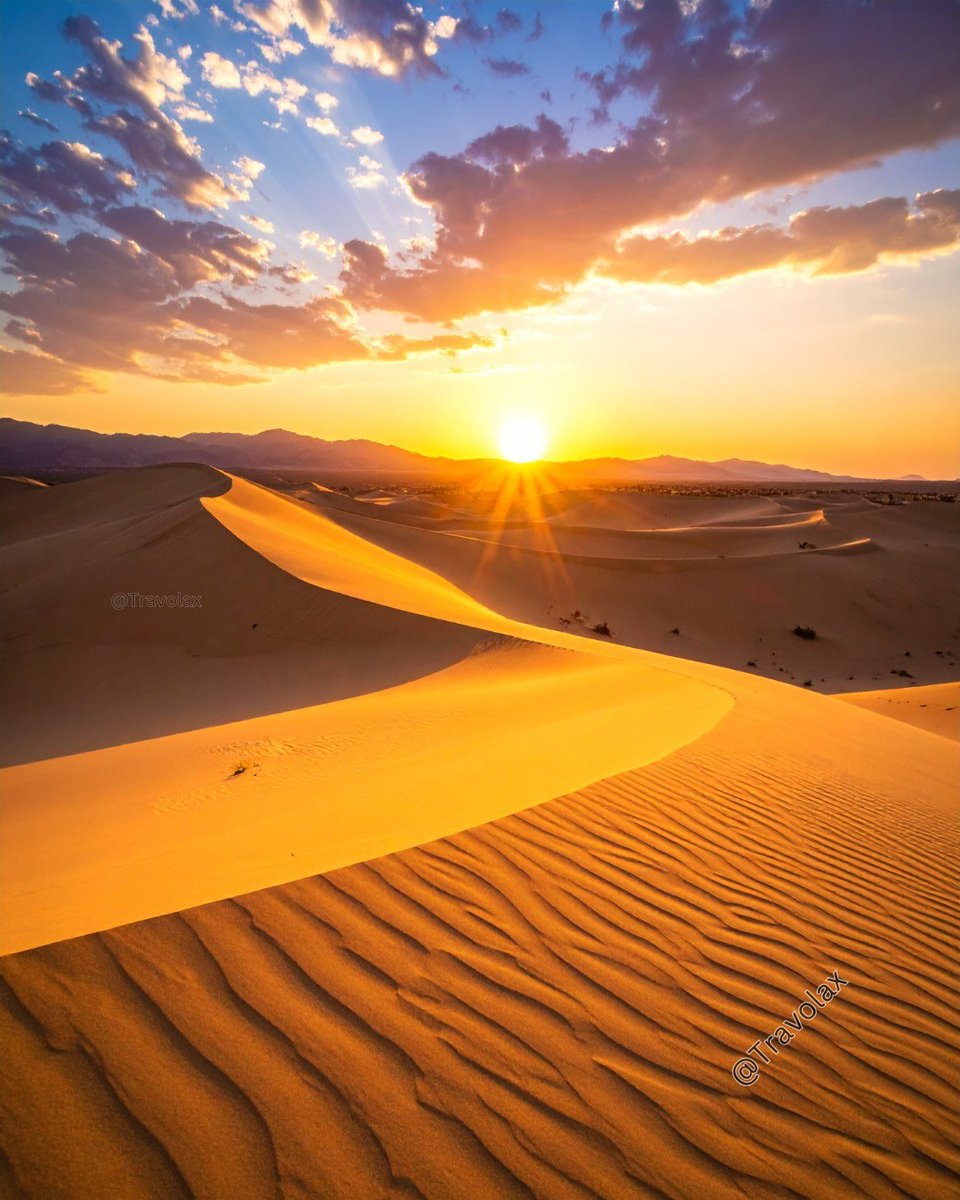 Travolax | Always Traveling tweet media