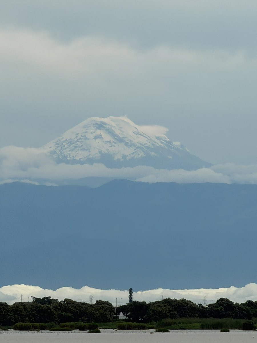 Miren quien se asomó a saludarnos hoy… 🇪🇨
