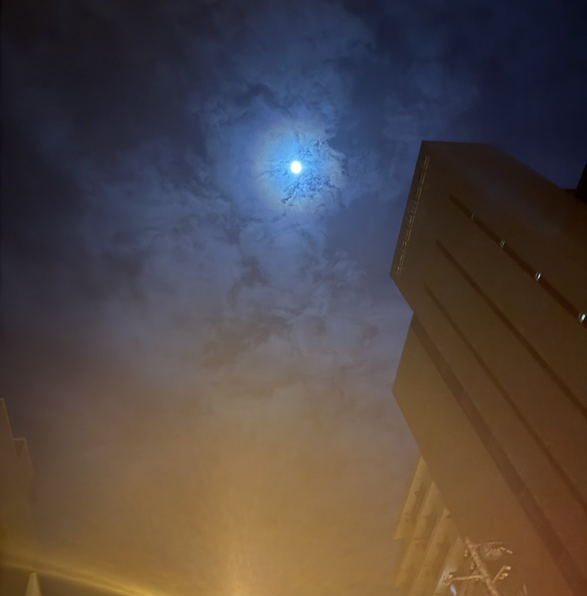 空が綺麗