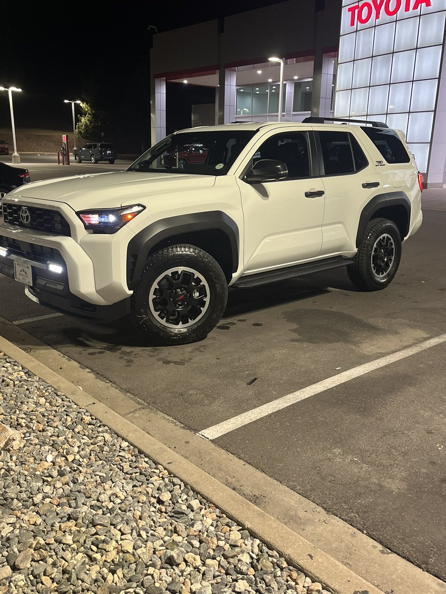 swirleina 🪩 tweet media