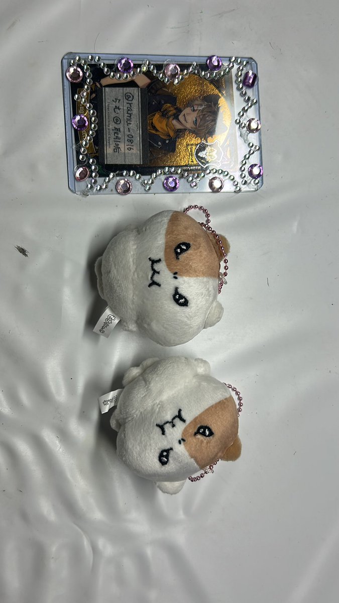 らむ🎼取引垢 tweet media