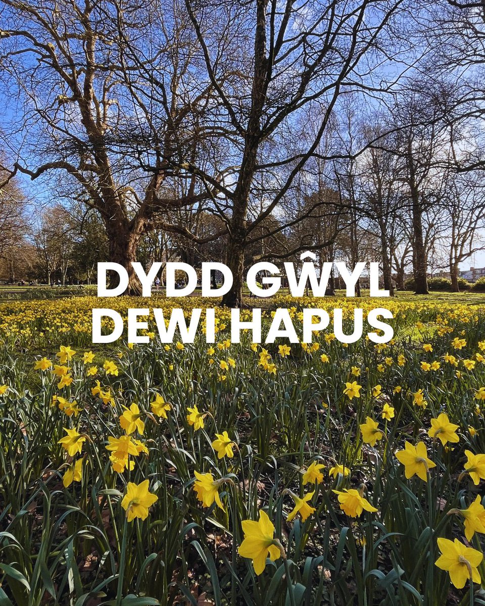 Julie Morgan MS tweet media