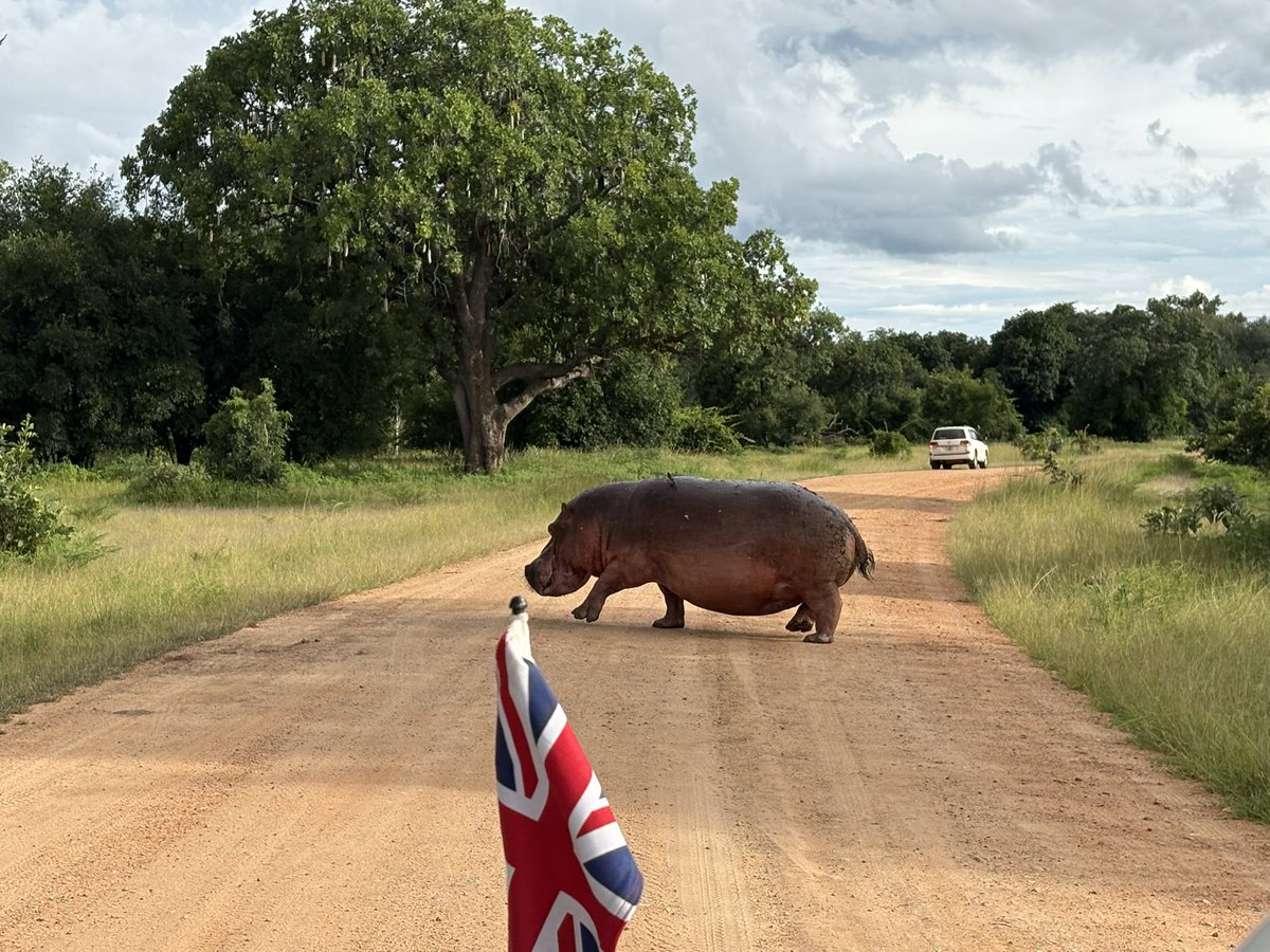 Rebecca Terzeon tweet media