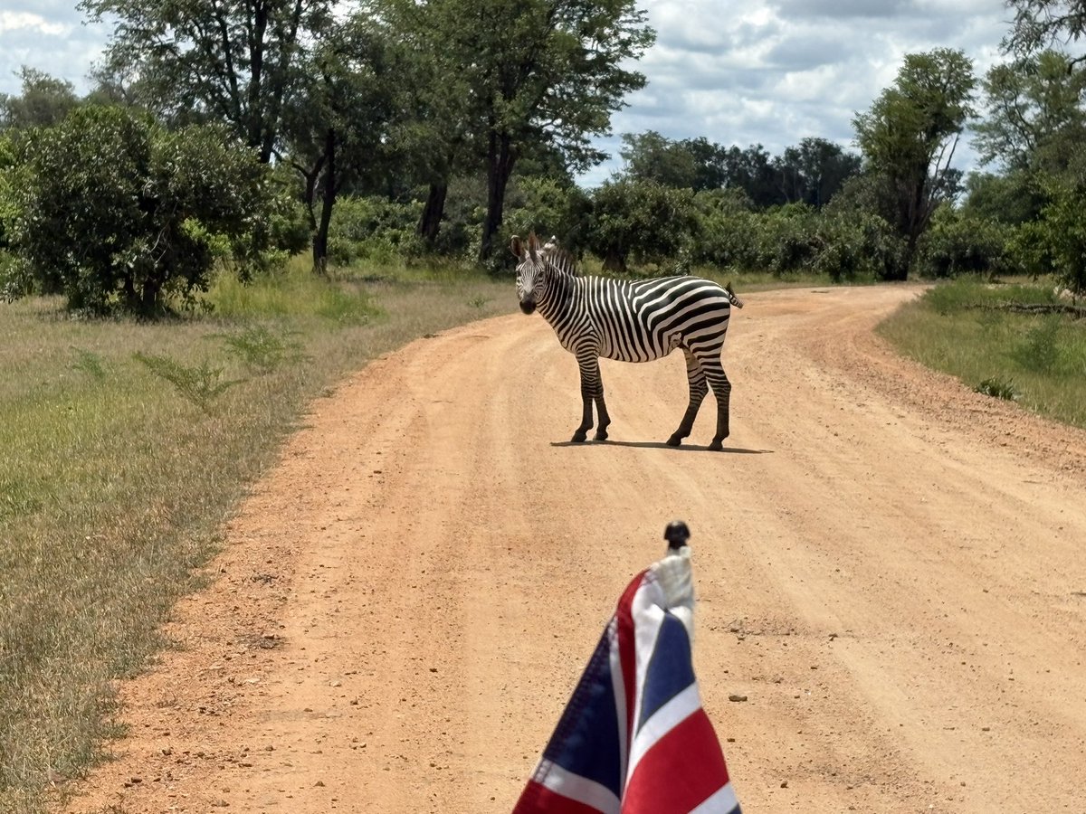 Rebecca Terzeon tweet media