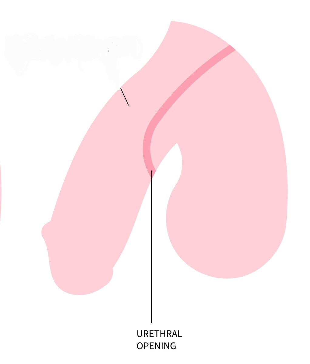 MEDICINE MADNESS tweet media