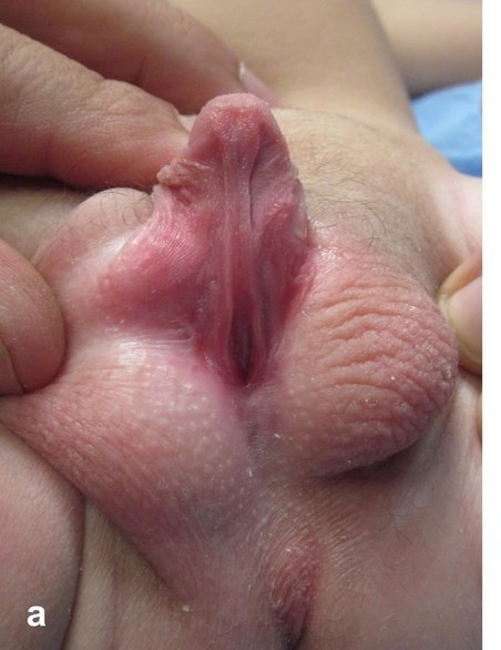 MEDICINE MADNESS tweet media