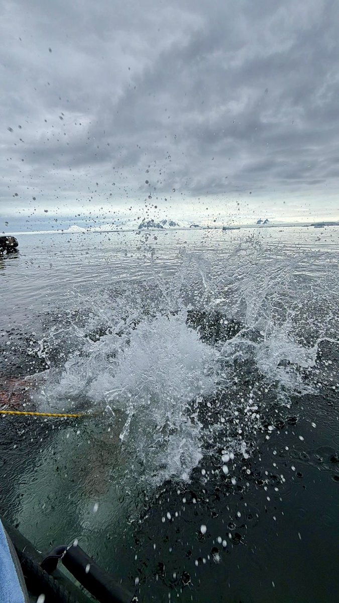 Chris Hart tweet media