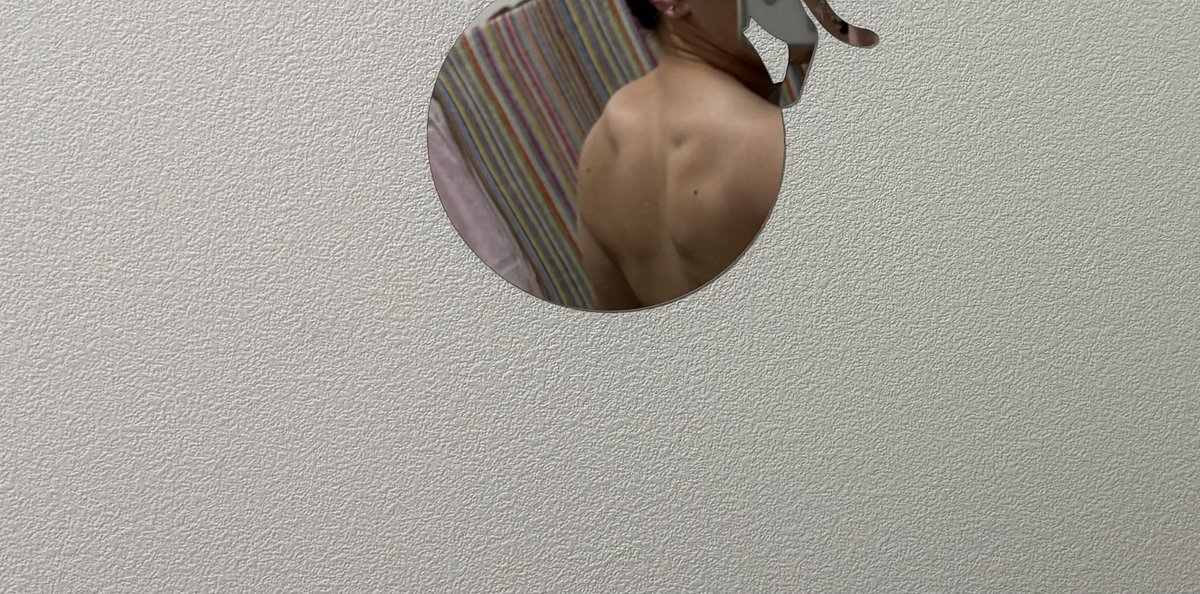 アライグマは倒れない tweet media