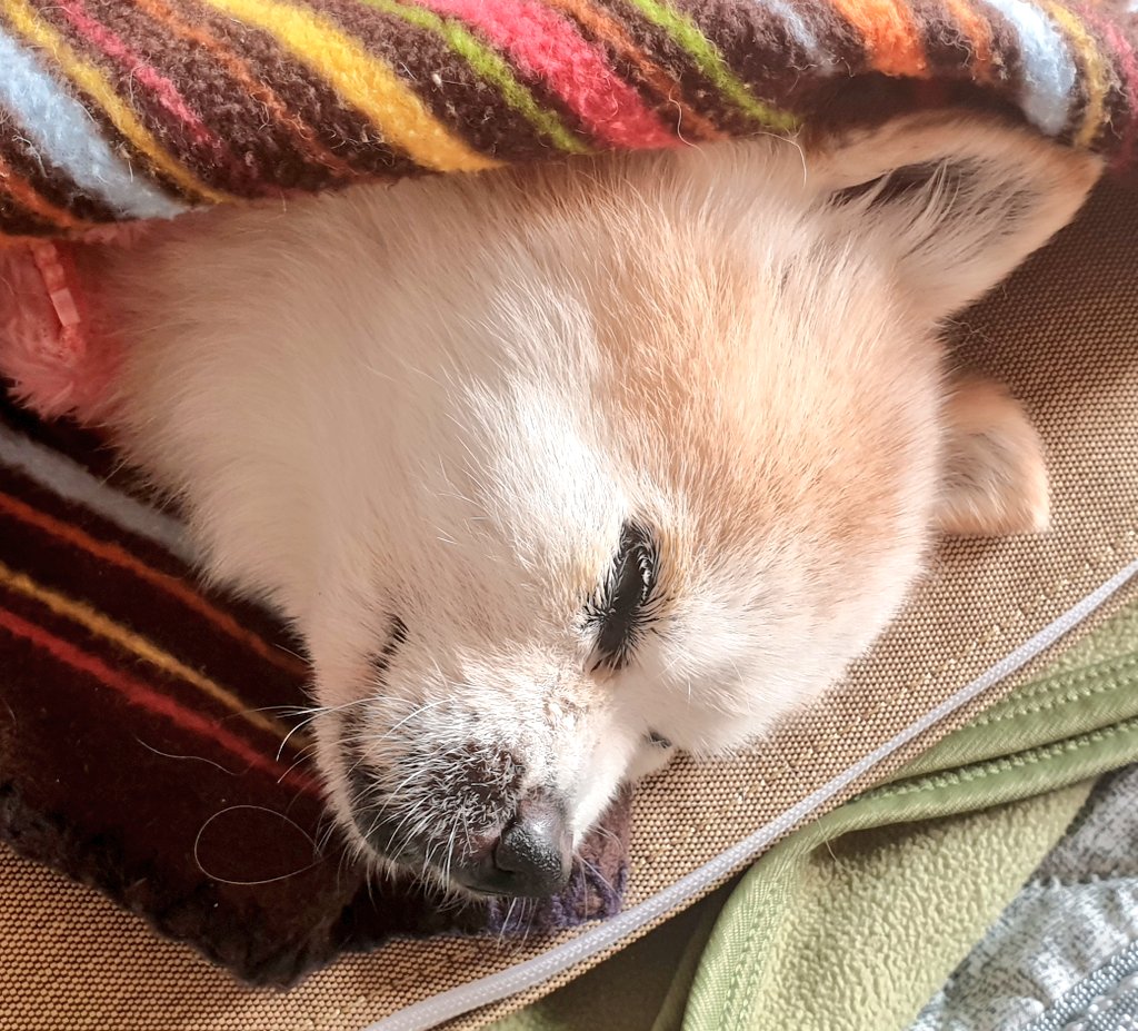 예쁜 할머니
뽀미공주