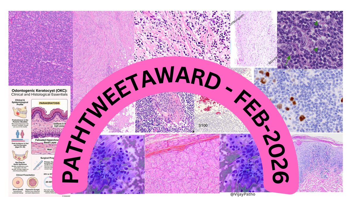 Vijay Shankar S tweet media