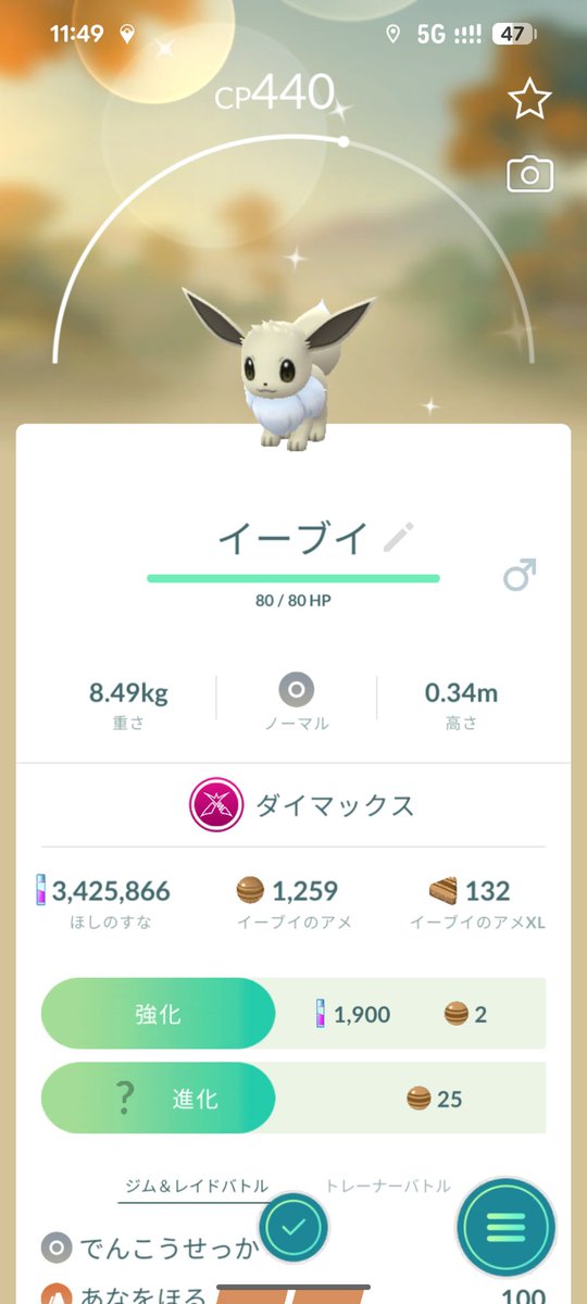k_m_aka_PLAM's tweet photo. ダイマの色違いイーブイきた✨️
#ポケモンGO https://t.co/HOsIeXi4W3
