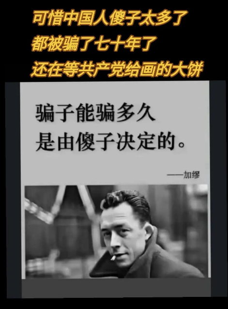 朵朵芸 tweet media