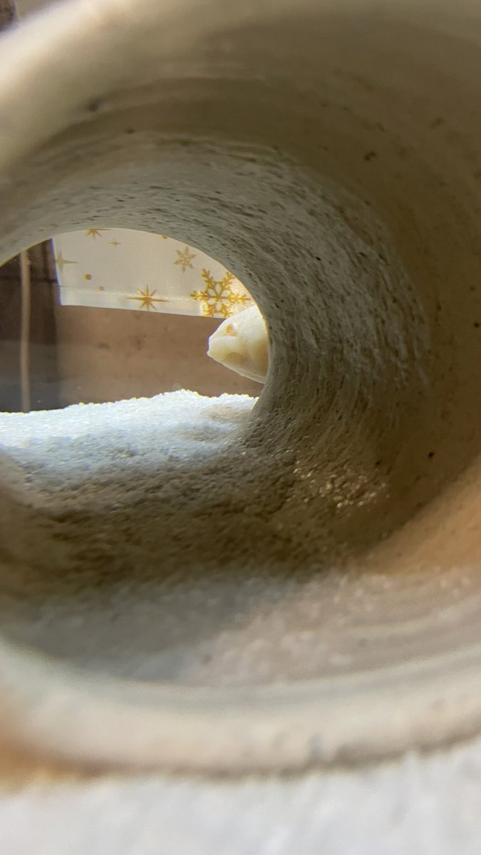 Liveありがとうございました！ あー楽しかった！！！