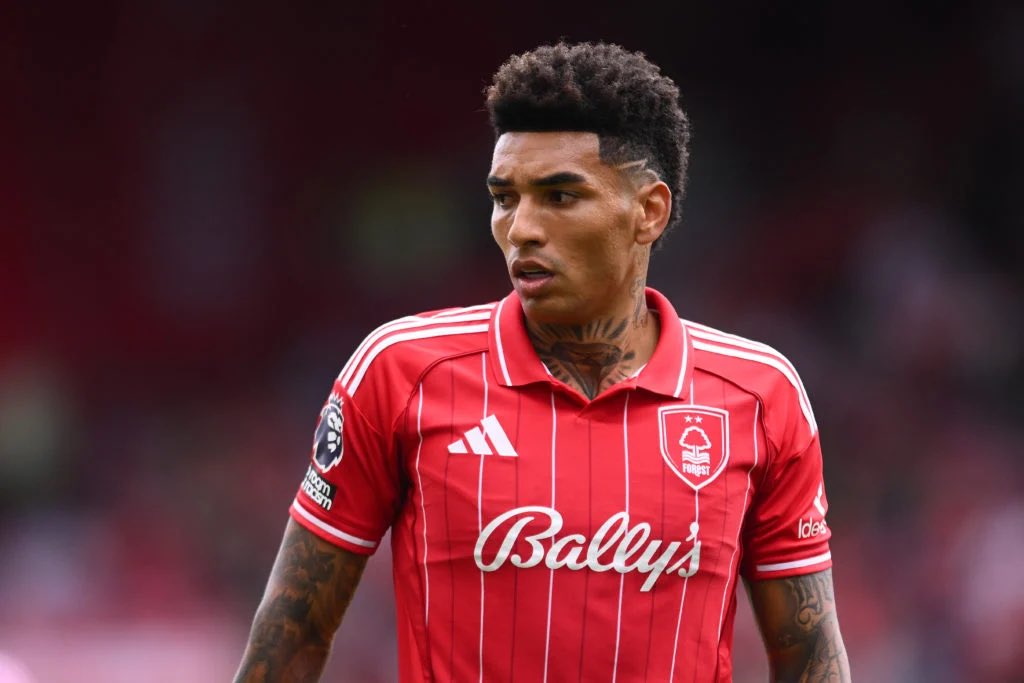 Ethan Lamb tweet media