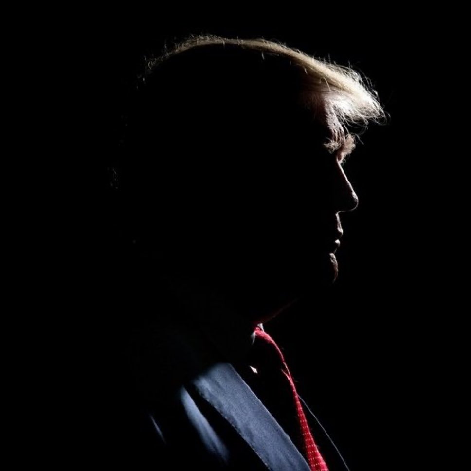 America First Policy Institute tweet media