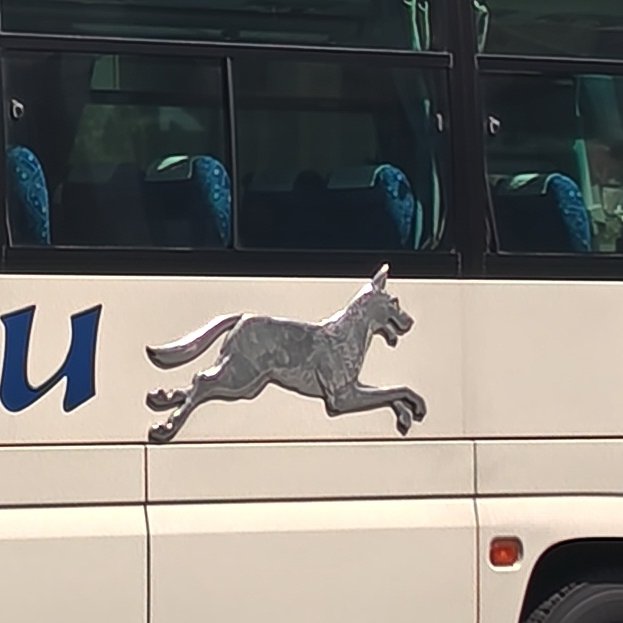 犬のレリーフ…イイなぁ。 #小田急シティバス #小田急バス #きゅんた