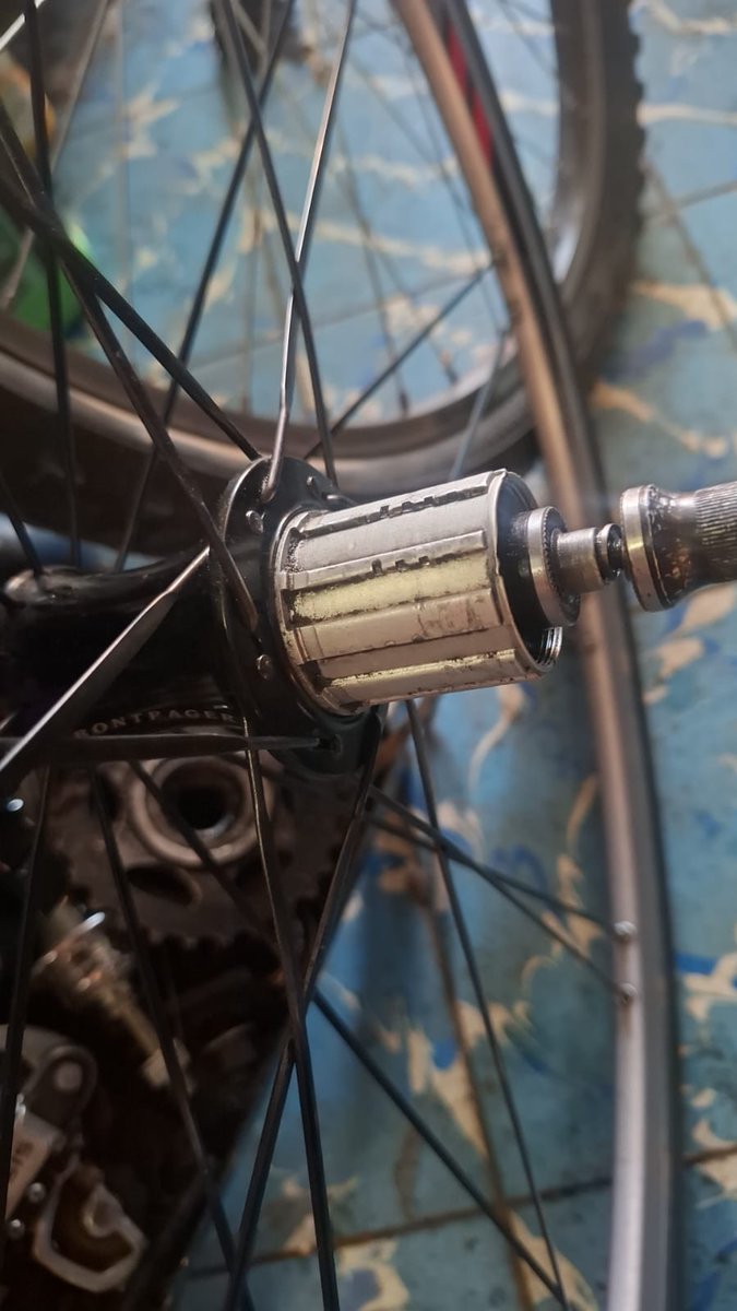 José Luis... tweet media