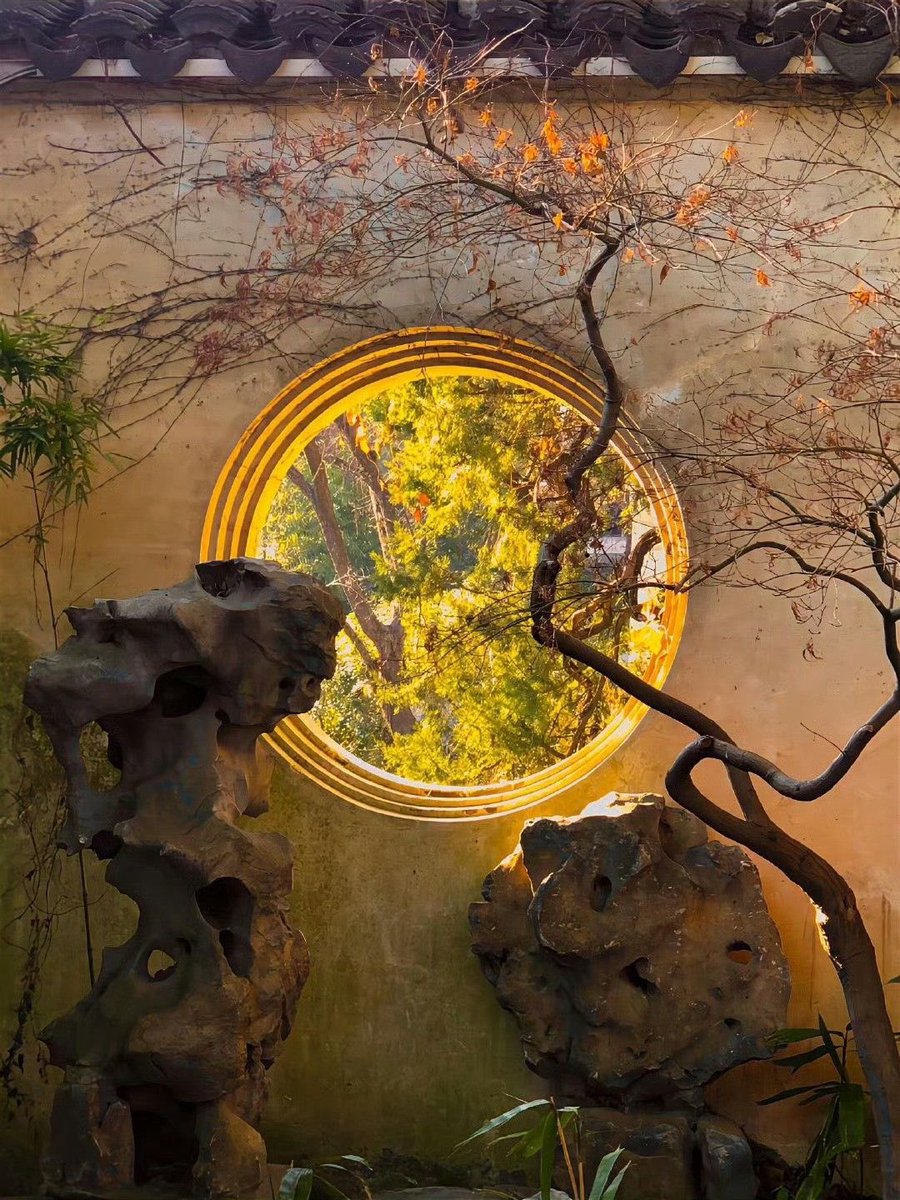 blossom. tweet media