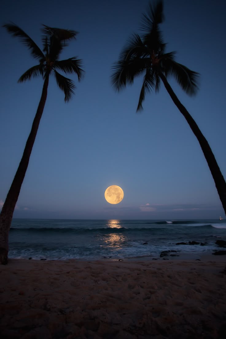 Aesthetics (@aestheticspost_) on Twitter photo 