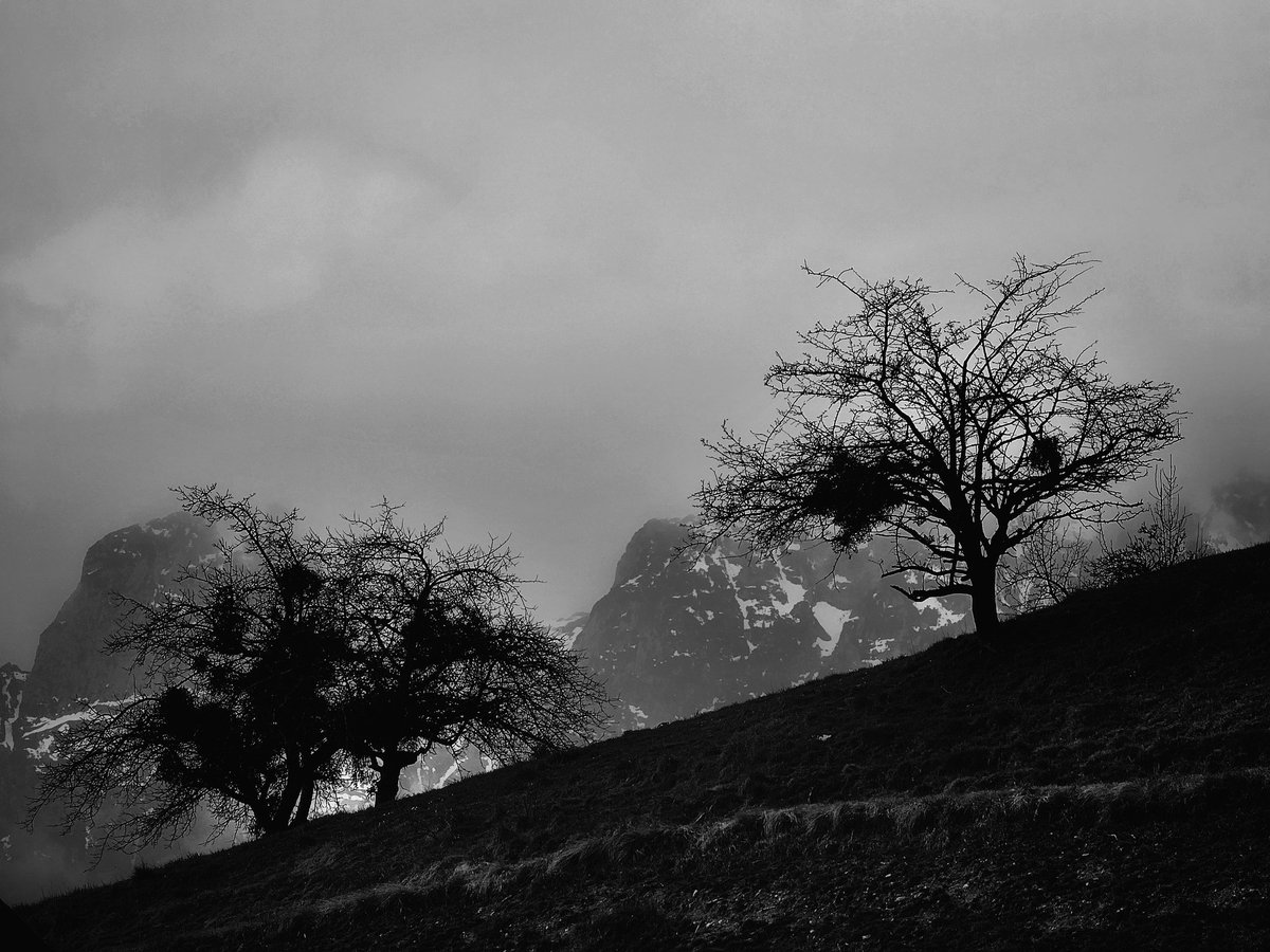 Drabbles153's tweet image. #NFTkaltenstein #kaltenstein #Liechtenstein #Eschen