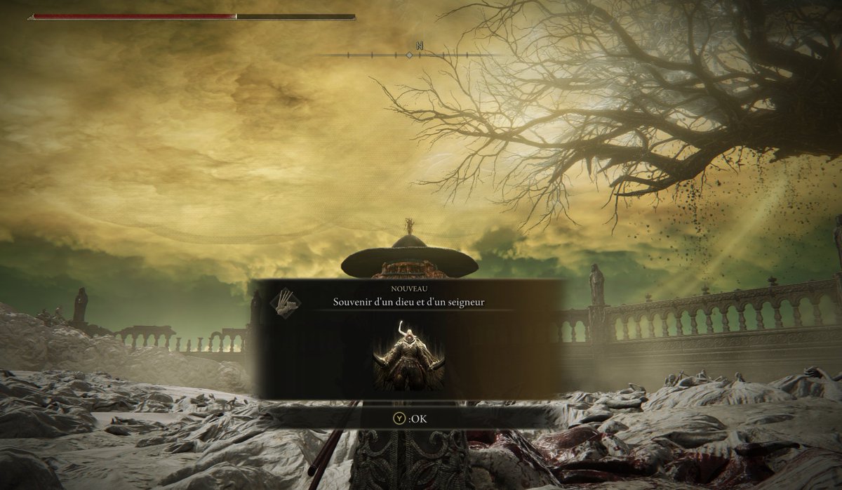 Capybara tweet media