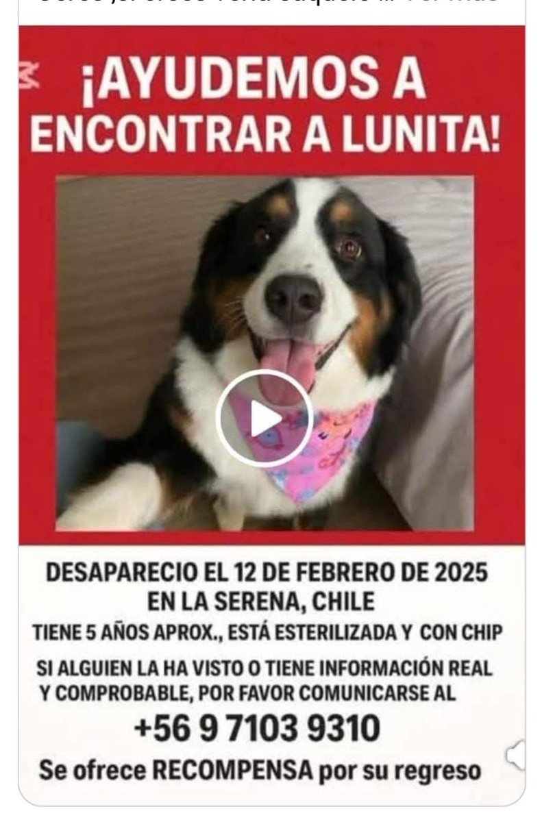 La familia no pierde la esperanza  de encontrarla. Puede estar en cualquier parte, se la llevaron 🙏🙏🙏