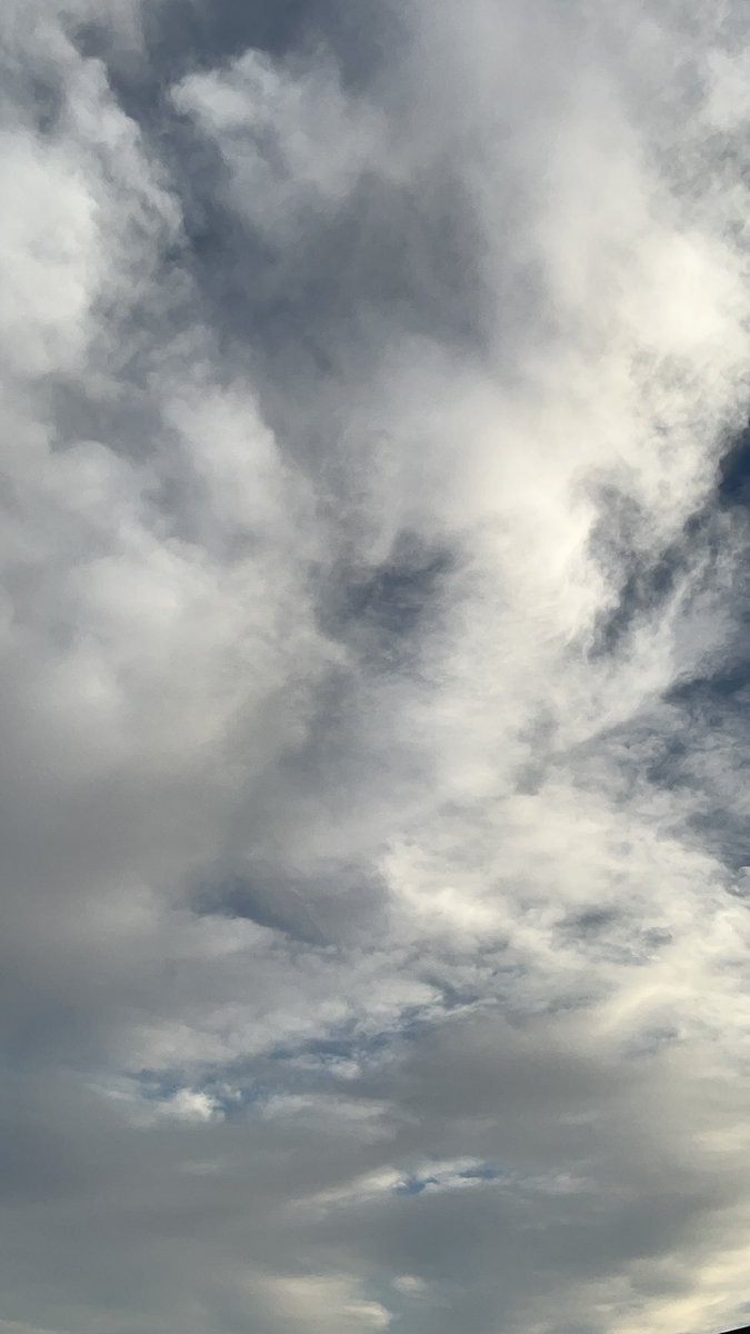 فَارس tweet media