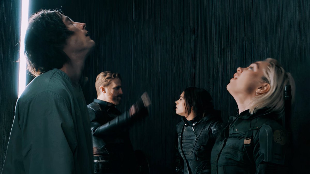 bugs when you lift up a rock