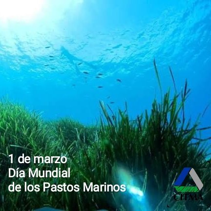 Ministerio de Ciencia, Tecnología y Medio Ambiente tweet media