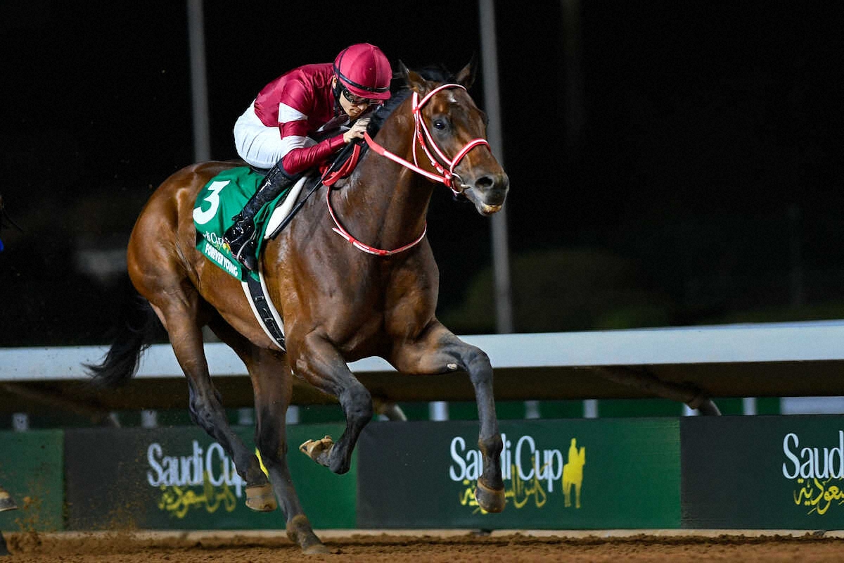 ニュースサムネイル