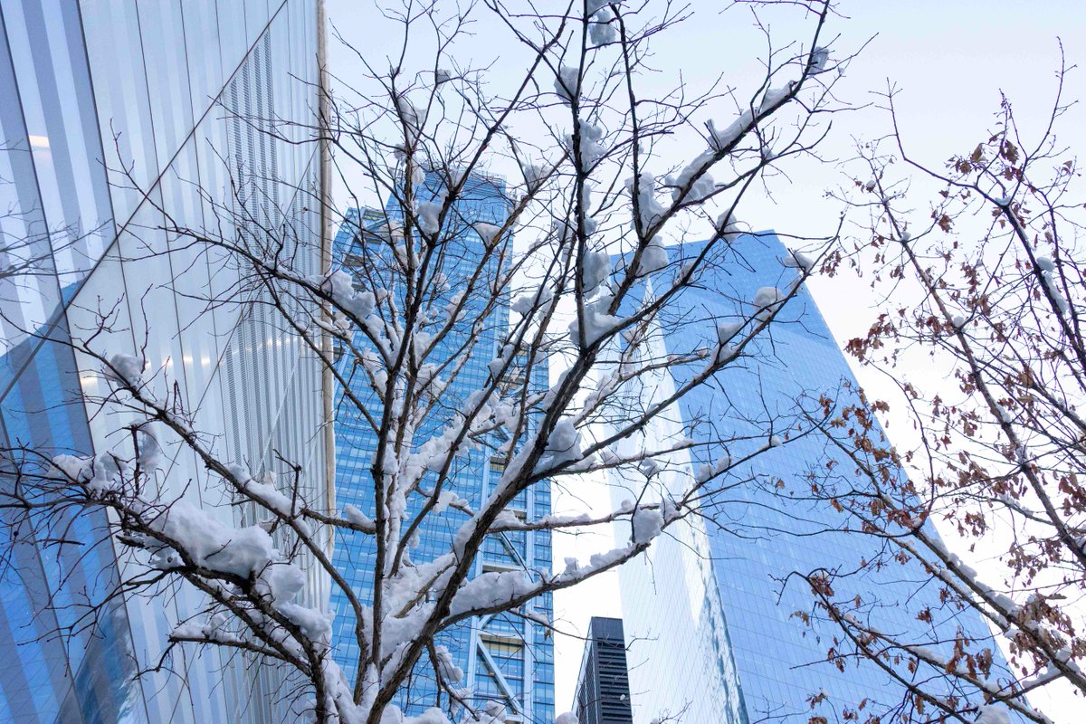 World Trade Center tweet media