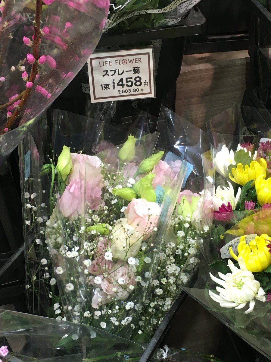 일본 마트 털이 재밌었는데
