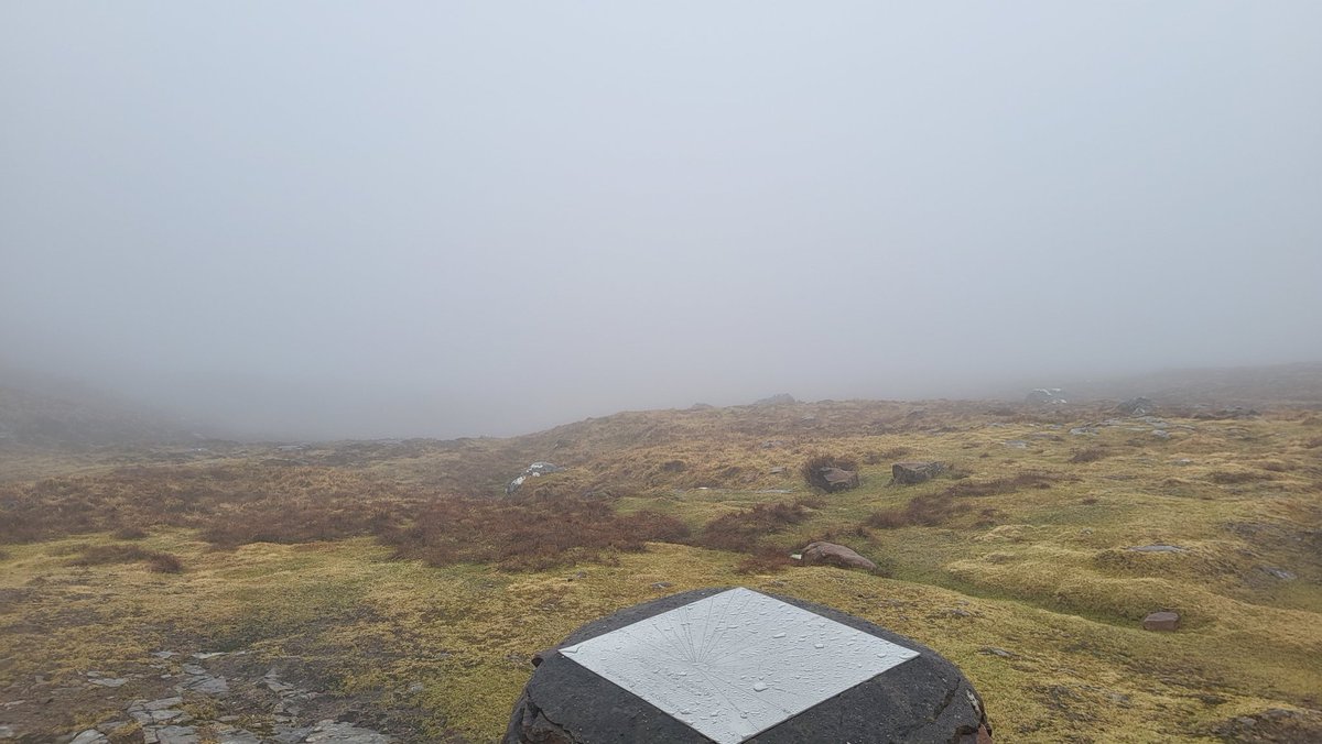 Catherine MacPhee tweet media