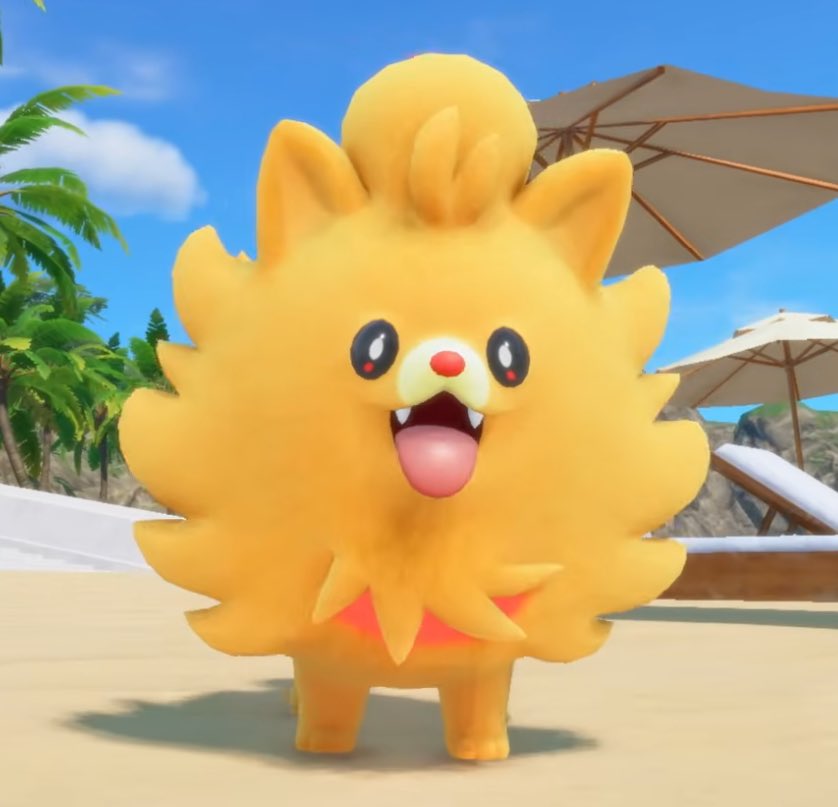 SHAX 🔥 tweet media