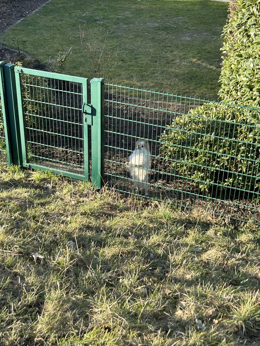 SHAX 🔥 tweet media