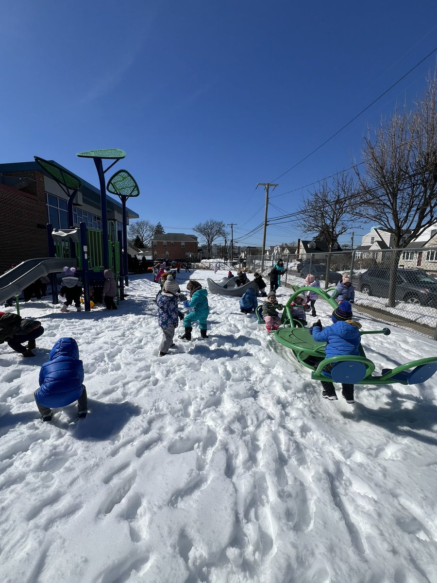 Ms. Dipaoli 🍎🖍❤️ tweet media