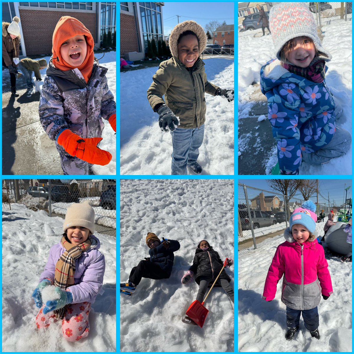 Ms. Dipaoli 🍎🖍❤️ tweet media