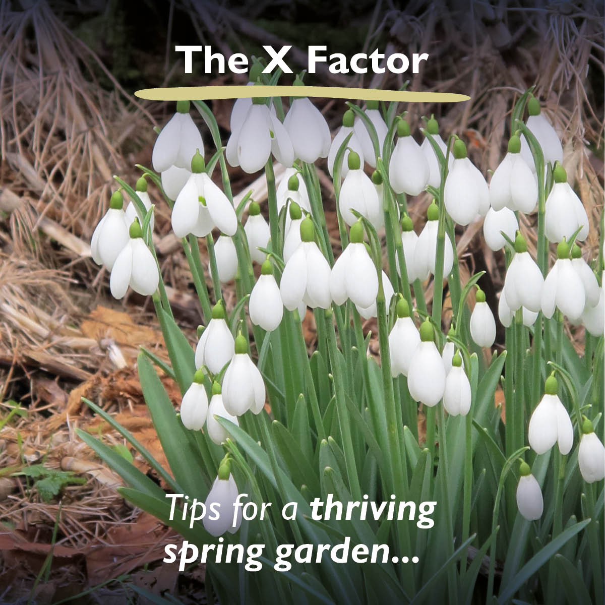 Hartley Botanic tweet media