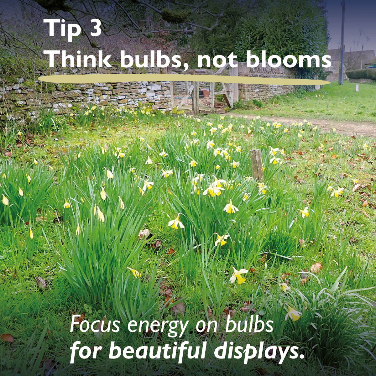 Hartley Botanic tweet media