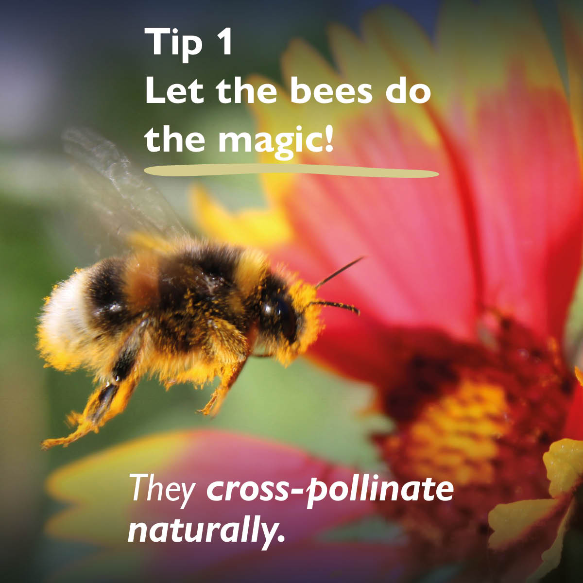 Hartley Botanic tweet media