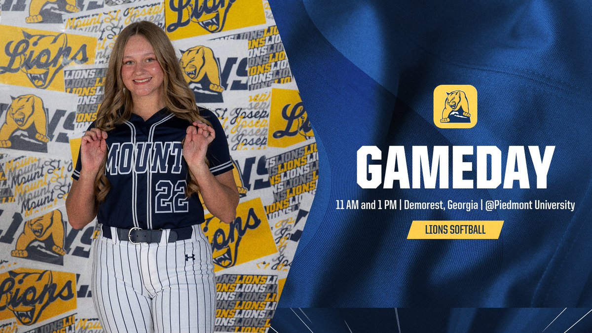 MSJ Softball tweet media