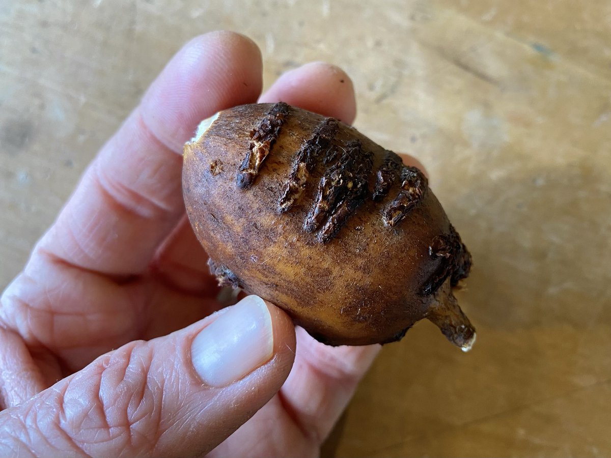 Briar Farm tweet media