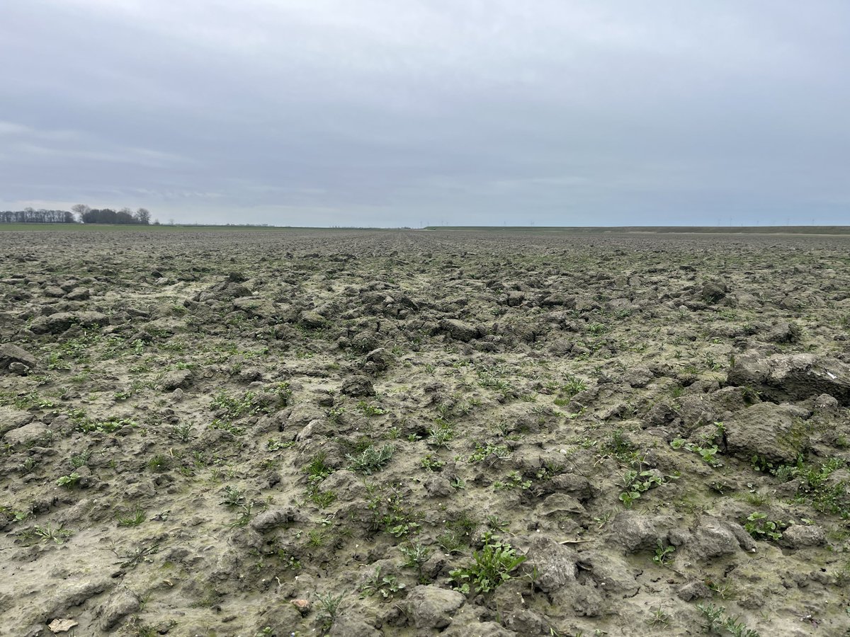 Hanko Blok tweet media