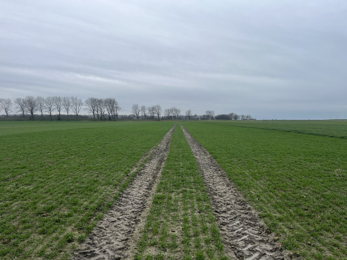 Hanko Blok tweet media