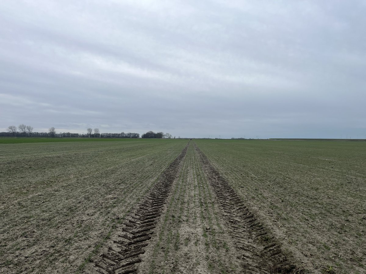 Hanko Blok tweet media