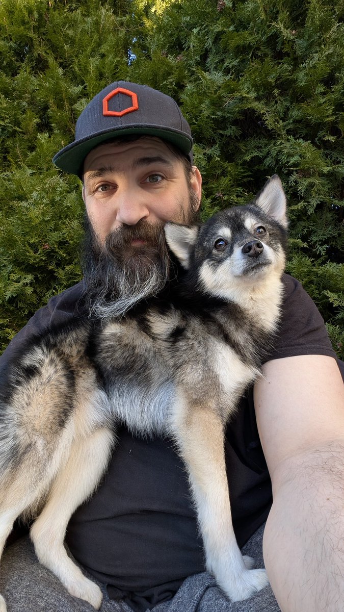 Tiny puppy always needs to be up on something.
He is a pomsky not teacup but he will stay tiny.