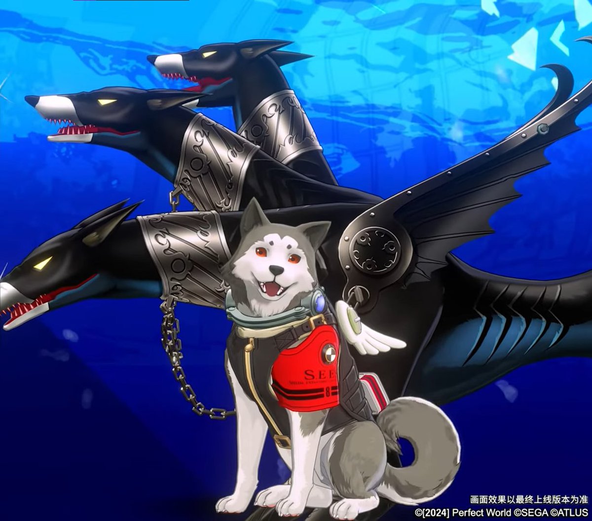 Bom dia! grande dia! Koromaru no P5X, que amor, todos amamos ele 🥺