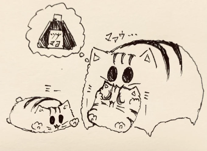おやすみなさい🐯 