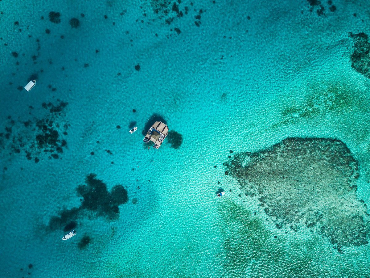 Globe Guide tweet media